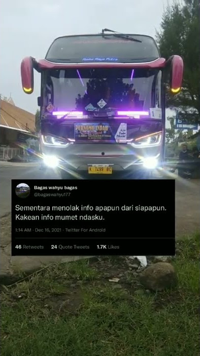 kakean info mumet ndasku || STORY WA LITERASI QUOTES BUS Rimba Raya || Yeni inka - angel 2