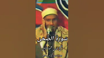 سورة الضحى الشيخ حمدى محمود الزامل اكسبلورر تيك توك تلاوات 
