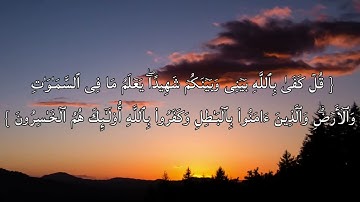 قل كفى بالله بيني وبينكم شهيدا | سورة العنكبوت