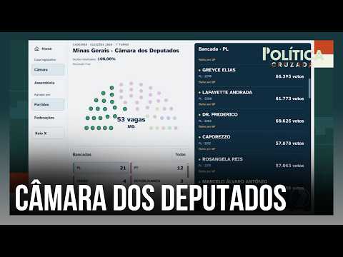 Ideological voting drove voter choices in the Chamber of Deputies