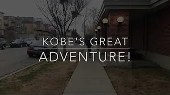 Kobe's Big Adventure