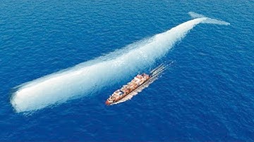 This Is What The Biggest Whale In The World Can Do
