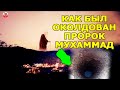 КТО НАВЕЛ ПОРЧУ НА ПРОРОКА МУХАММАДА? КАК ПРОРОК ИЗБАВИЛСЯ ОТ ПОРЧИ?