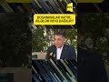 BOŞANMALAR ARTIR: AİLƏLƏR NİYƏ DAĞILIR?