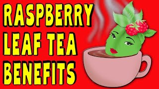 10 Amazing RASPBERRY LEAF TEA Benefits for pregnancy \& more - How good is it really?