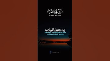 يريدون ليطفئوا نور الله بأفواههم والله متم نوره ولو كره الكافرون[ الصف: 8]‏القارئ عبد الرحمن السديس￼
