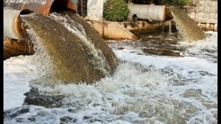 تلوث الماء  - العلوم - الصف الثاني الاعدادي - الترم الاول