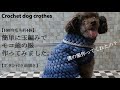 【100均毛糸】私流の犬用セーターの編み方☆いつもより多めに試行錯誤しています☆玉編みで簡単に作ってみました☆犬の服編み方☆Crochet dog clothes