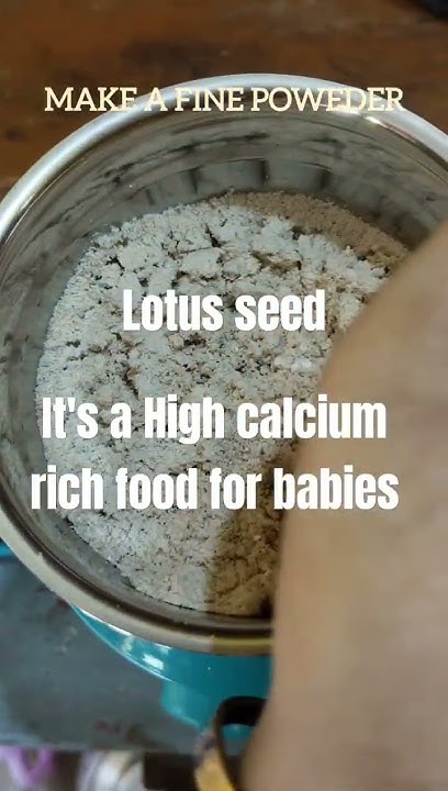 best-baby-food-while-travelling-shorts-youtube