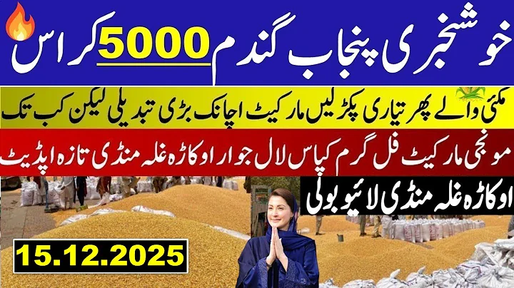Today Wheat price in punjab//گندم کا ریٹ 2025/munji makki till sarso/Galla mandi rate today 2025