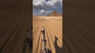 DESERT 🏜️ safari egypt 🐪#automobile #trending #youtubeshorts #explore #explore #india #dessert