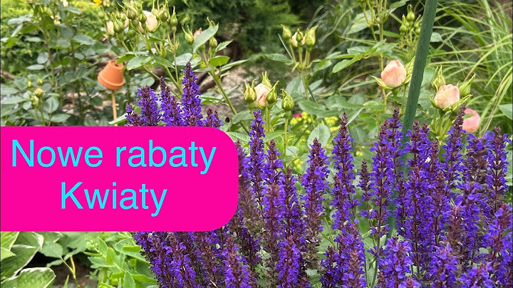 Nowe rośliny w ogrodzie, zmiany i piękne kwiaty 🌺
