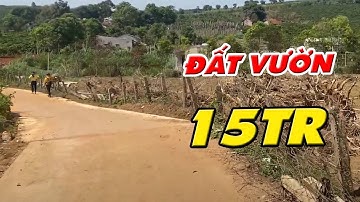 Hoang mang với đất vườn gia lai bê tông giá 15tr | nguyễn ngọc sơn