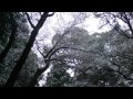 豪雪の霧島市 隼人町歴史民族資料館 石たい神社