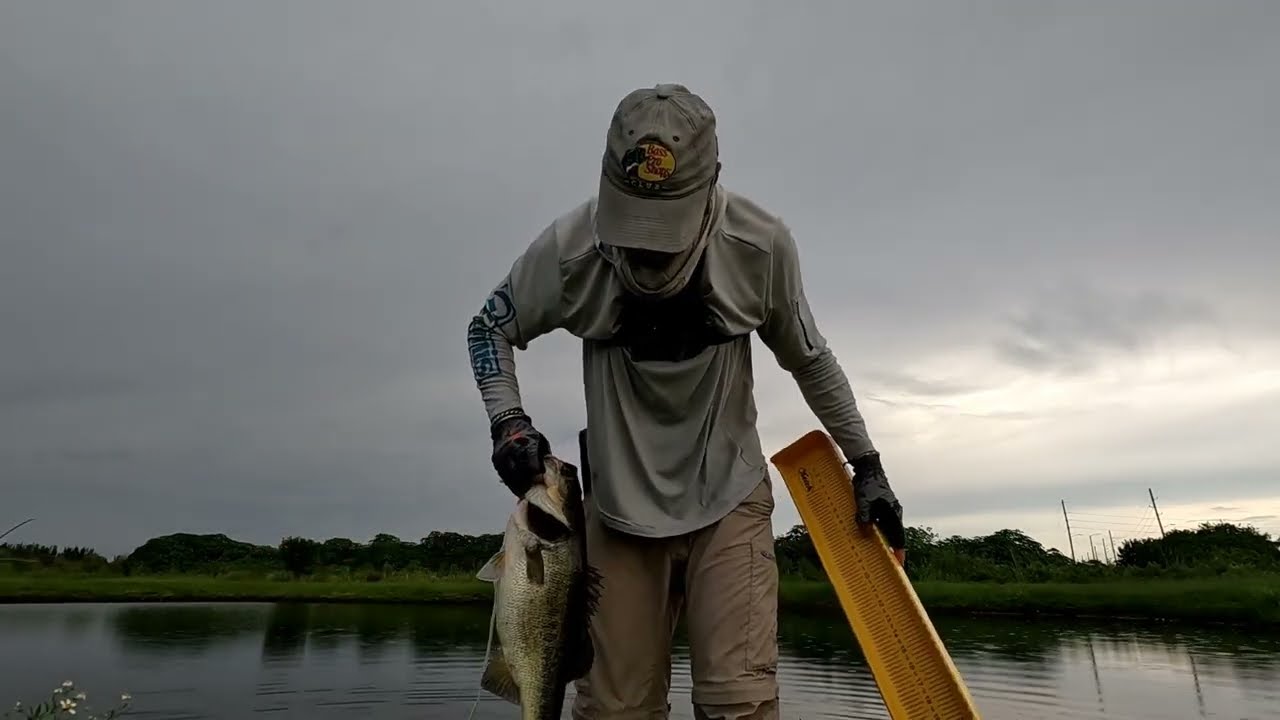 Surprisingly, I Caught a Big Bass out of a small Florida pond – Bradenton Florida 9/14/22