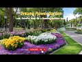 Dreamy Flower Garden 🌿✨ Lush, Colorful Ideas for a Stunning Outdoor Space 🌺🌼