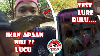 MANCING DAPAT IKAN ANEH, LANJUT Mancing Ikan Gabus Di Spot Rahasia Ep #41