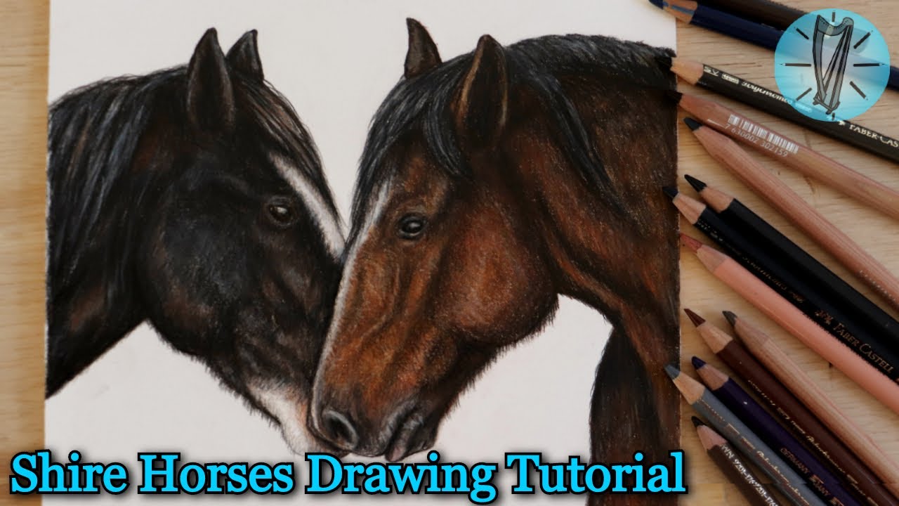 Two Shire Horses In Coloured Pencil Drawing Tutorial