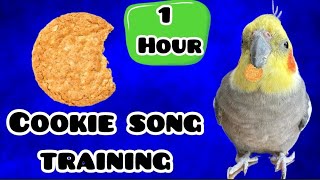 1 Hour Cookie Song | จังเจอร์ปิดๆ | Cookie Cookie | Cockatiel Training Sound | Cockatiel Singing 💛