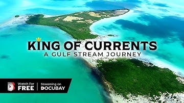 King of Currents - A Gulf Stream Journey | Discover The World