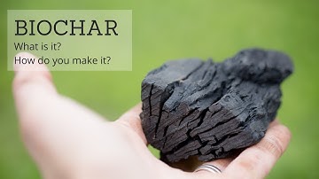 Biochar: What is it and How do you make it?