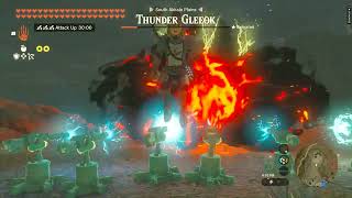 Super Tower Cannons X Thunder Gleeok