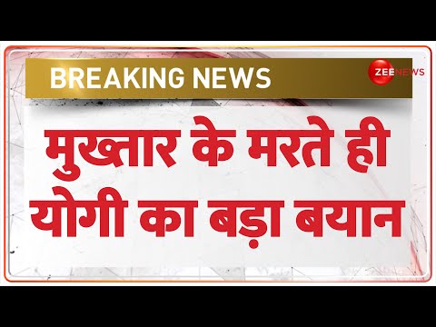 Mukhtar Ansari Dead: मुख्तार अंसाारी के मरते ही योगी का बड़ा बयान |CM Yogi|Mukhtar Ansari Death News - ZEENEWS