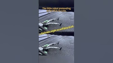 The little robot pretending to be hit is so cute #worldhumanoidrobotgames #robot#fannyvideo