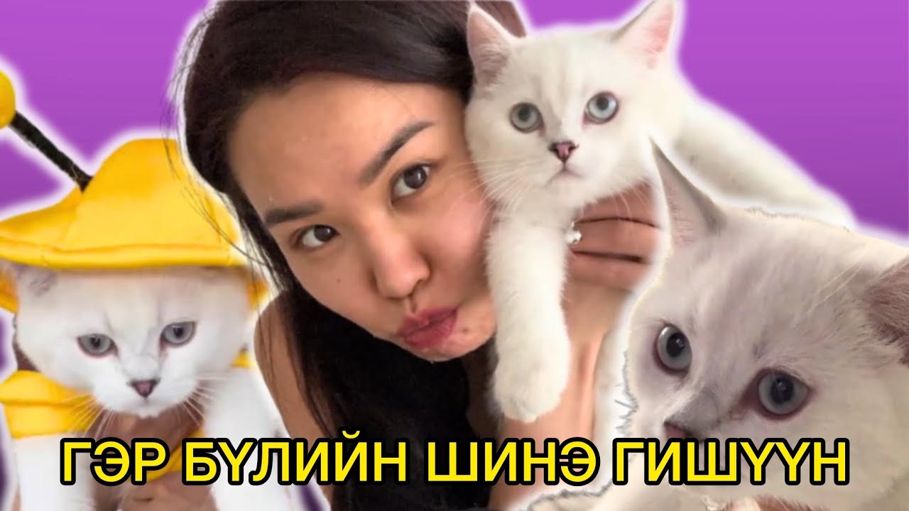 МУУЖГАЙ ТАCO-гоо УГТАЖ АВЛАА 😍🐱