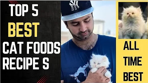 Watch the video about Top 5 best cat foods recipes for persian cats |Urdu | Hindi