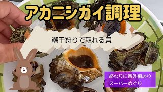 貝料理 潮干狩りで取れるアカニシ貝のさばき方 調理 サザエより美味しいかも 番外 スーパーめぐり Youtube