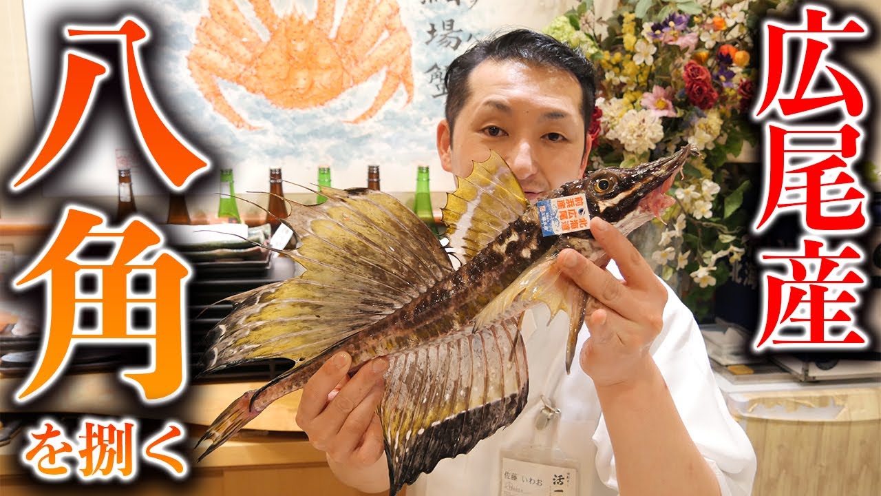 お魚BOX第二弾【八角】の捌き方