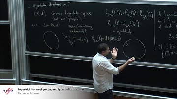 Alexander Furman: Super-rigidity, Weyl groups, and hyperbolic structures
