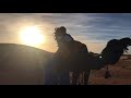 Riding a Camel in the Sahara Desert of Morocco