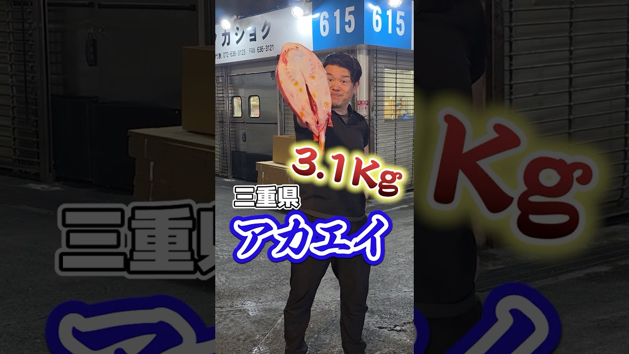 【閲覧注意】釣りの外道アカエイを刺身で食べる
