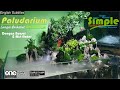 Step by Step paludarium 40 cm dengan tema sungai berkabut