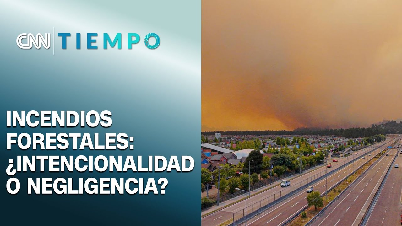 Incendios forestales en el Ñuble y Biobío ¿Intencionalidad o negligencia?