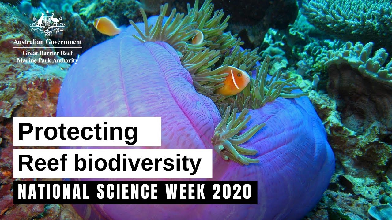 Protecting Reef biodiversity