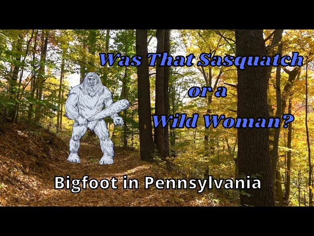 Why so many people are searching for Bigfoot in Pennsylvania - WHYY