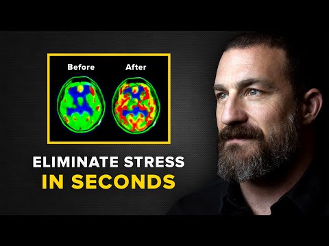 Neuroscientist: You Will Never Feel Stressed Again | Andrew Huberman