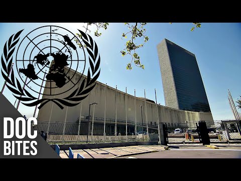Amazing Facts Inside The United Nations Did You Know Doc Bites 