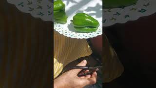 ##Organic farming ##Vegetables ##Easy gardening ##you tube Short ##