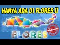 Orang flores pasti tau   jolinid