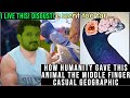 How Humanity Gave This Animal the Middle Finger by casual geographic reaction