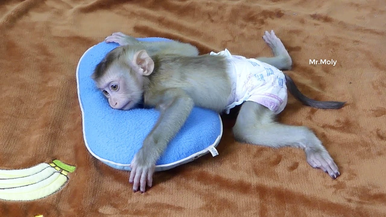 Silently Obedient Queen Zuji Sleep Waiting For Mom ClippingNails For Her