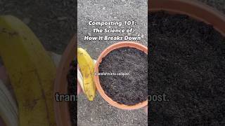 Composting 101 The Science Of How Compost Breaks Down