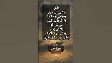 سورة هود الآية ٤٣ بصوت الشيخ محمد صديق المنشاوي