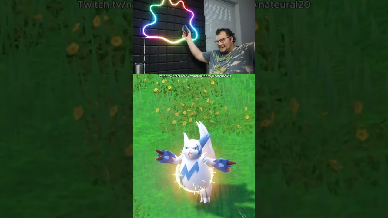 Shiny Zangoose! 