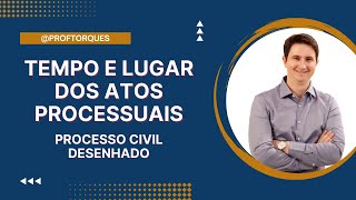 Tempo e lugar dos atos processuais | Processo Civil Desenhado