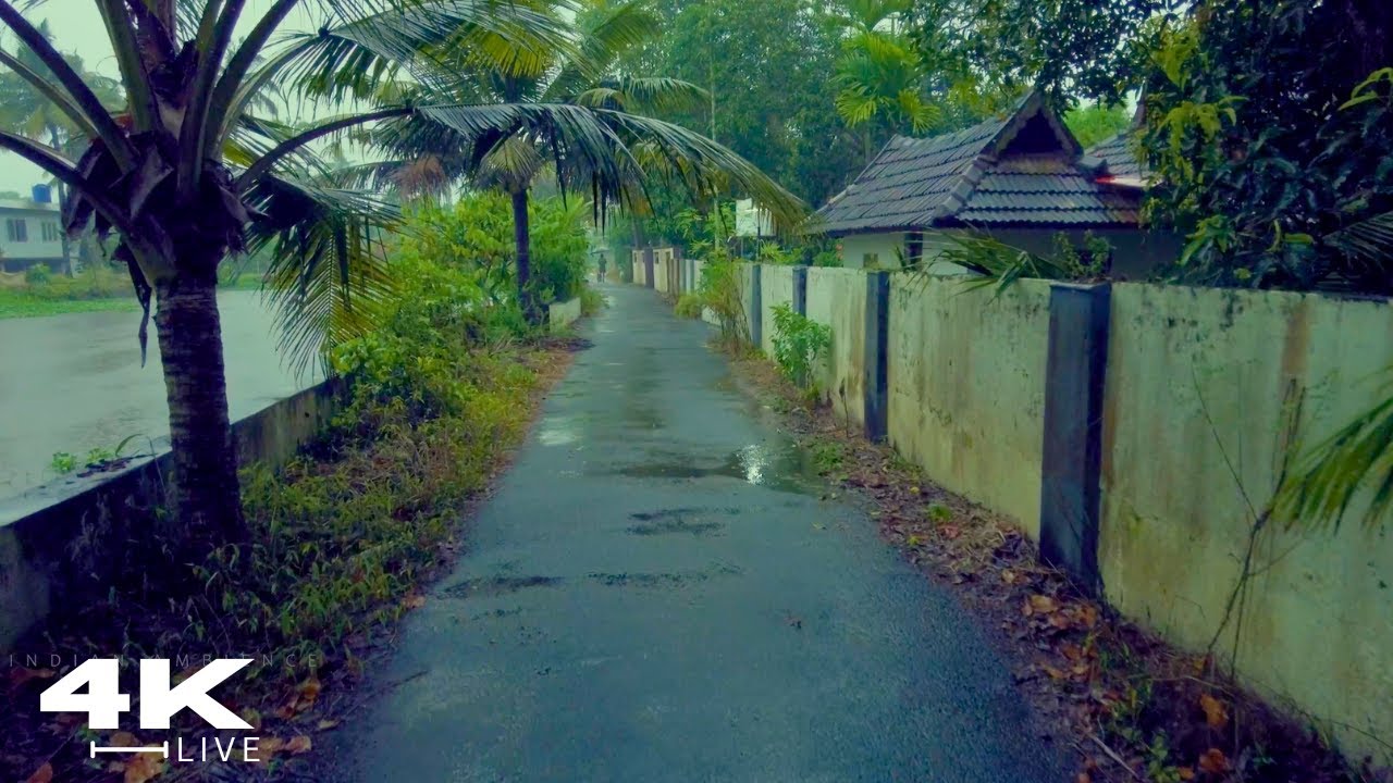 Fall Asleep Instantly :The Most Relaxing Rain Walk ☔ Beautiful Village Heavy Rain ASMR - No Ads